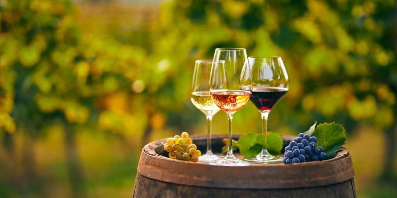 Poster für Weinabend im römischen Garten