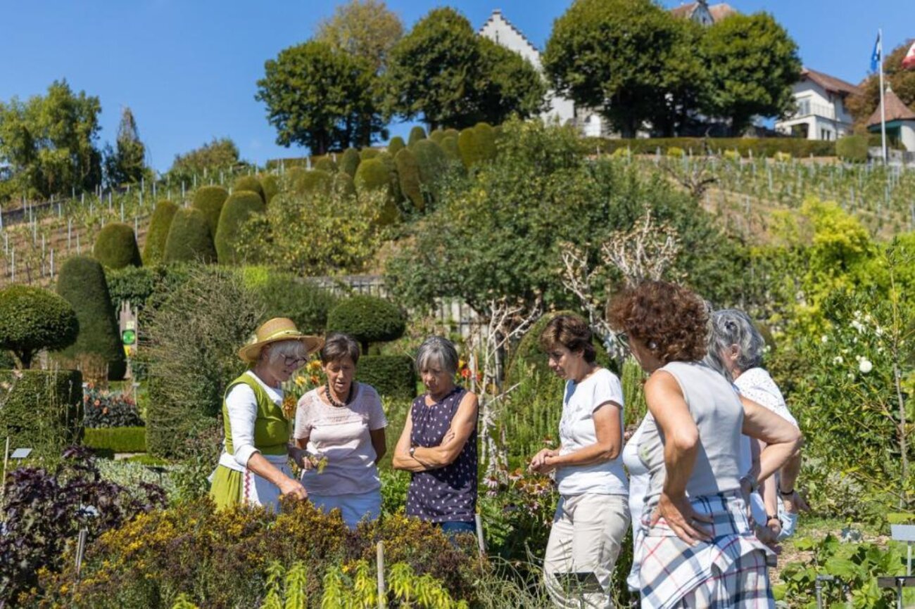 Poster für Führung durch den Barockgarten