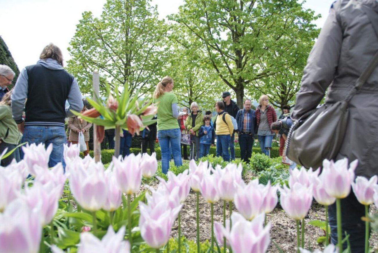 Poster für Führung durch den Barockgarten