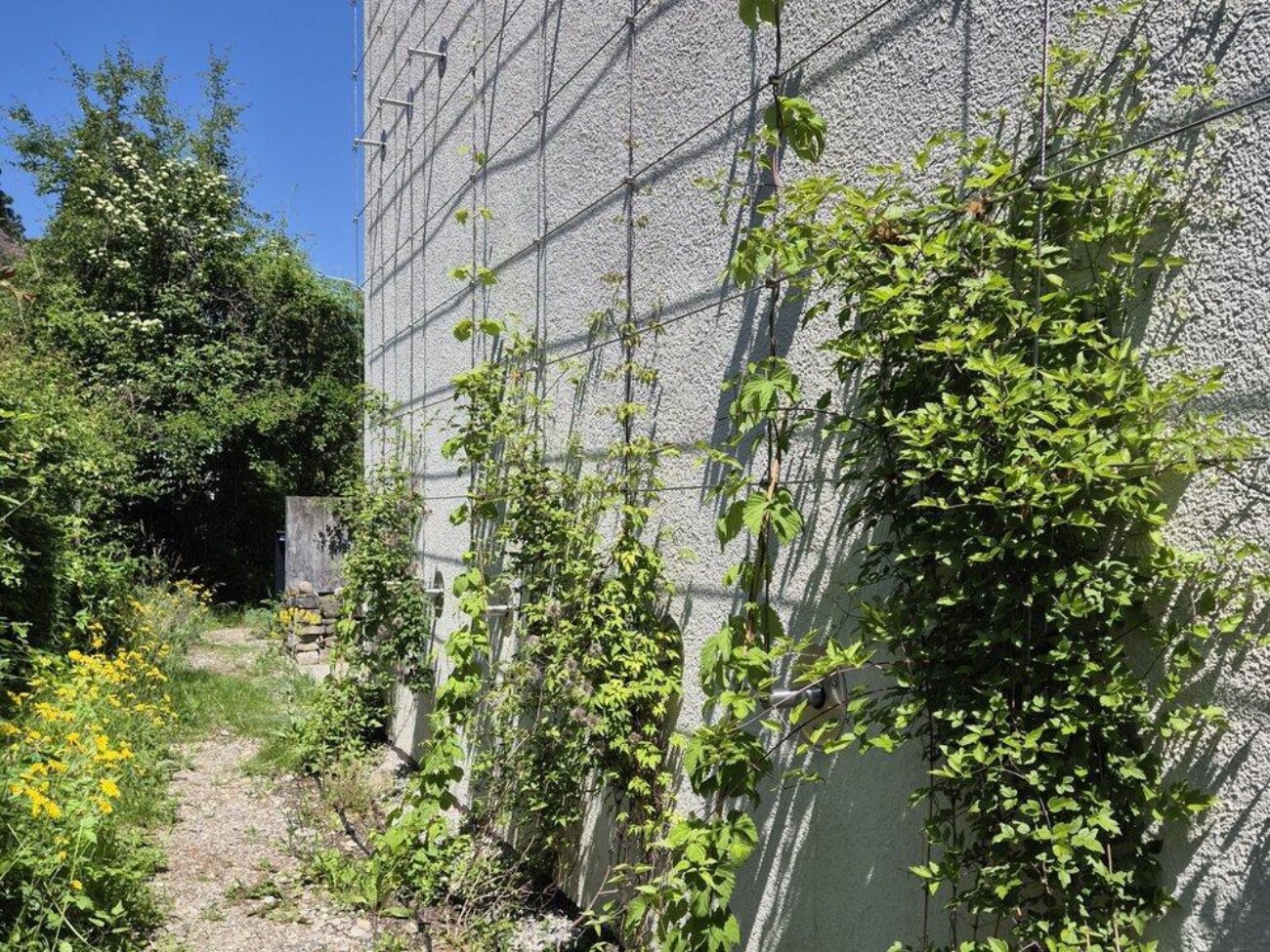 Poster für Hoch hinaus